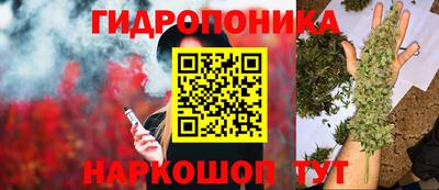 гашик Краснознаменск