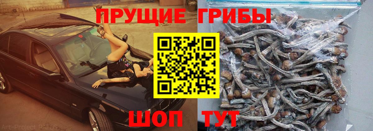 наркошоп  Галлюциногенные грибы мухоморы  Вход с VPN  Псилоцибиновые грибы ЛСД  Гусь-Хрустальный 