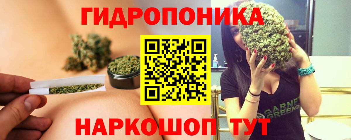 Бошки Шишки план Гусь-Хрустальный